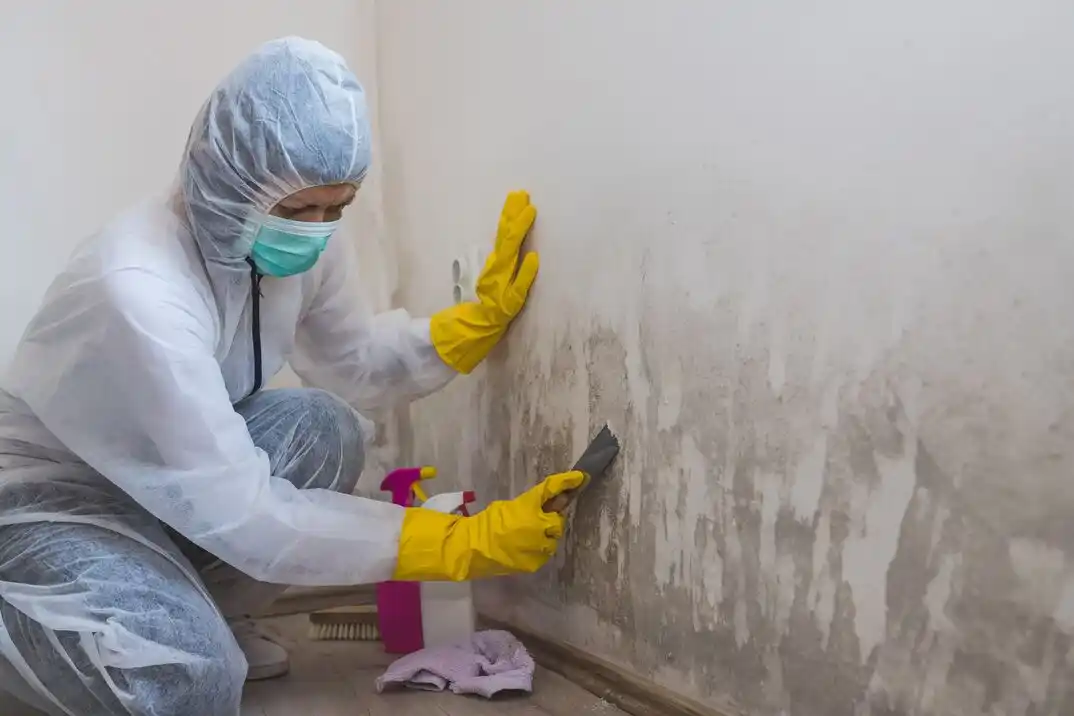 water damage restoration service Montavilla
